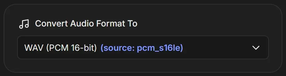 Audio job with Convert Audio Format To set to WAV (PCM 16-bit), marked source: pcm_s16le