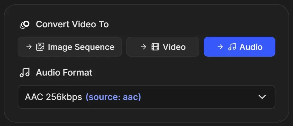 Video job with Audio selected under Convert Video To and Audio Format set to AAC 256kbps, marked source: aac